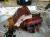 missing photo id: 206